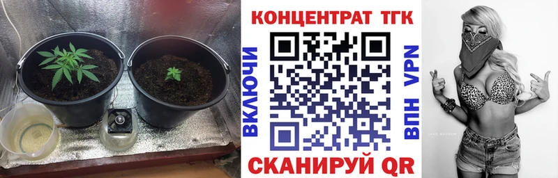 где можно купить   Качканар  MEGA как войти  Дистиллят ТГК гашишное масло 