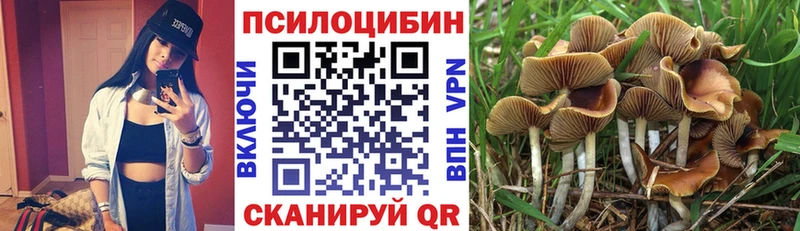 omg маркетплейс Качканар Псилоцибиновые грибы ЛСД купить закладку