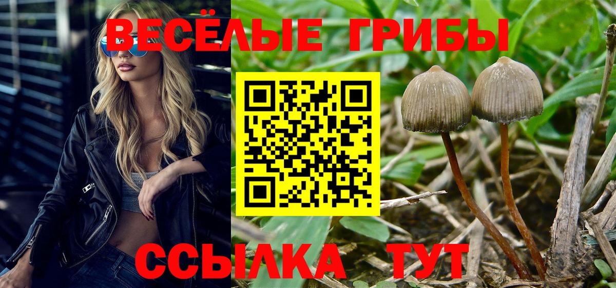 Псилоцибиновые грибы Psilocybine cubensis  Галлюциногенные грибы Psilocybe  Качканар  Вход с VPN 