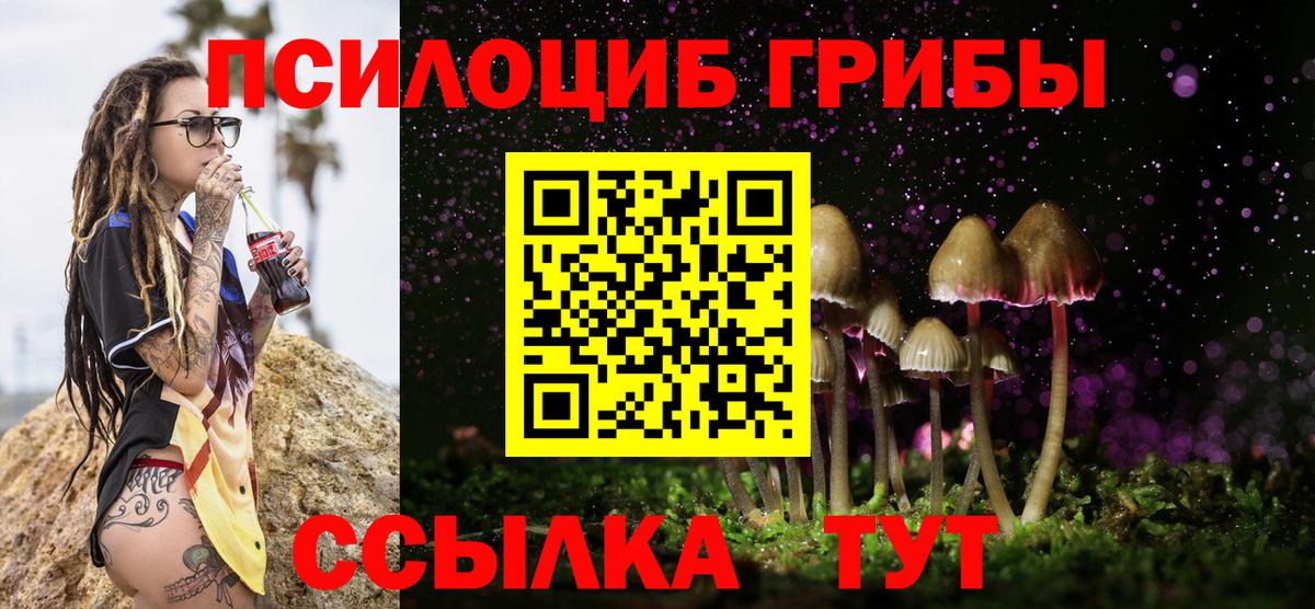 Псилоцибиновые грибы Psilocybine cubensis Качканар